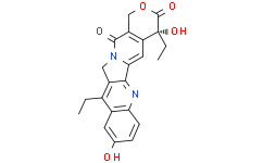 (R)-SN-38 647852-82-2